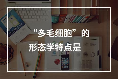 “多毛细胞”的形态学特点是