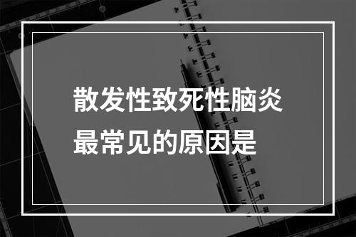 散发性致死性脑炎最常见的原因是