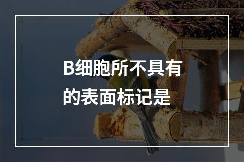 B细胞所不具有的表面标记是