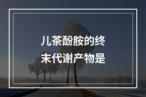 儿茶酚胺的终末代谢产物是