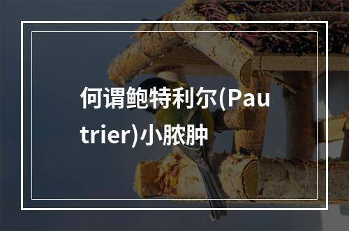 何谓鲍特利尔(Pautrier)小脓肿