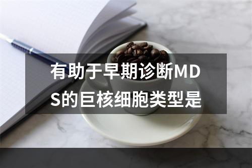 有助于早期诊断MDS的巨核细胞类型是