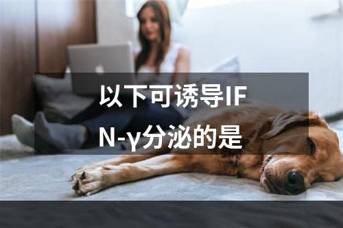 以下可诱导IFN-γ分泌的是