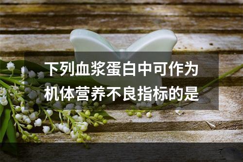 下列血浆蛋白中可作为机体营养不良指标的是