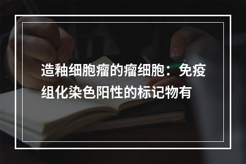 造釉细胞瘤的瘤细胞：免疫组化染色阳性的标记物有