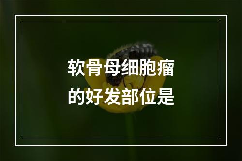 软骨母细胞瘤的好发部位是