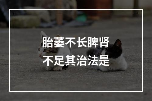 胎萎不长脾肾不足其治法是