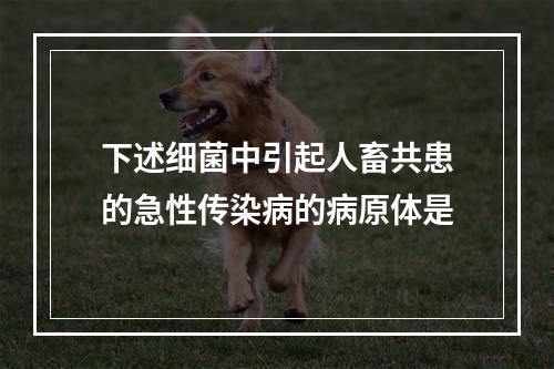 下述细菌中引起人畜共患的急性传染病的病原体是