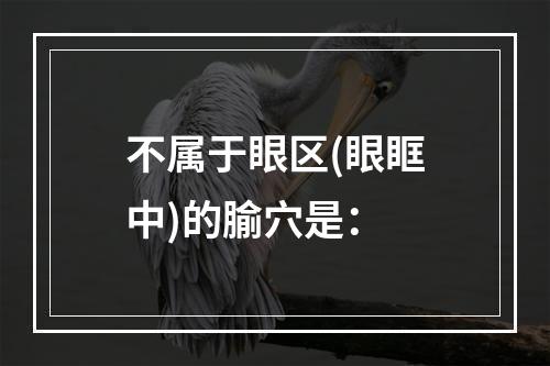 不属于眼区(眼眶中)的腧穴是：