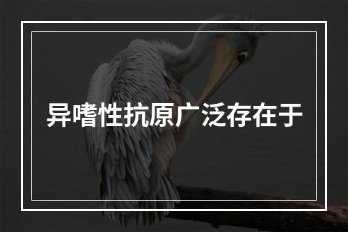 异嗜性抗原广泛存在于