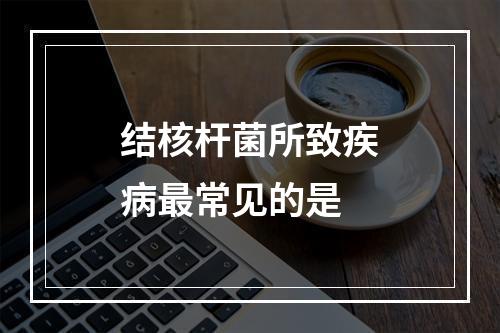 结核杆菌所致疾病最常见的是