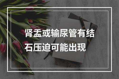 肾盂或输尿管有结石压迫可能出现