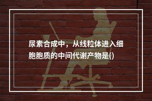 尿素合成中，从线粒体进入细胞胞质的中间代谢产物是()