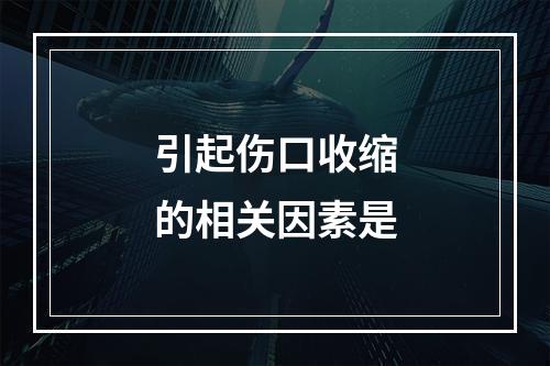 引起伤口收缩的相关因素是