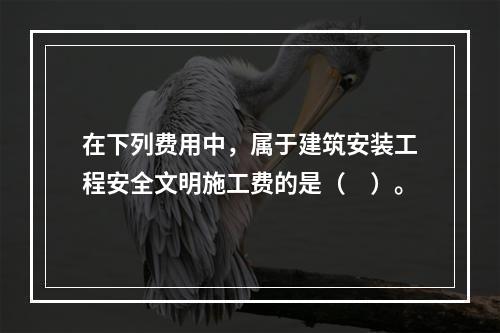 在下列费用中，属于建筑安装工程安全文明施工费的是（　）。