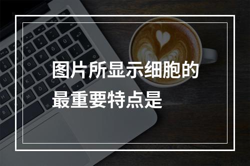 图片所显示细胞的最重要特点是　　