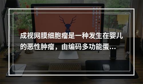 成视网膜细胞瘤是一种发生在婴儿的恶性肿瘤，由编码多功能蛋白质