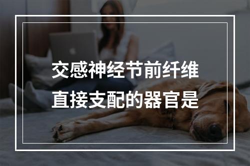 交感神经节前纤维直接支配的器官是