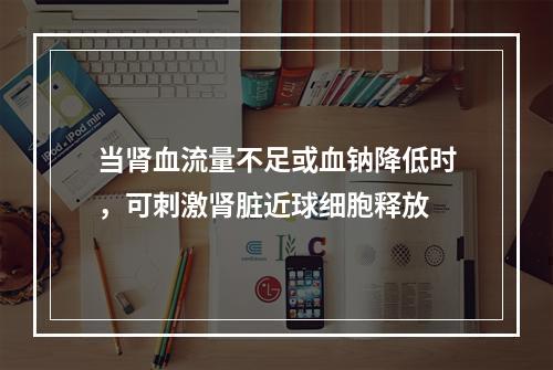 当肾血流量不足或血钠降低时，可刺激肾脏近球细胞释放