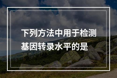 下列方法中用于检测基因转录水平的是