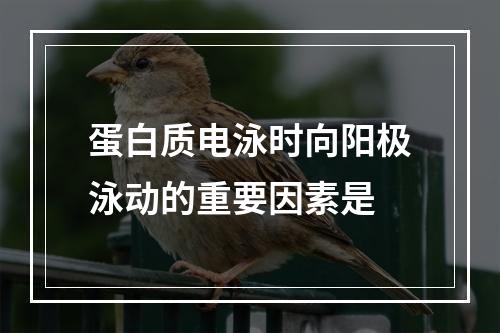 蛋白质电泳时向阳极泳动的重要因素是