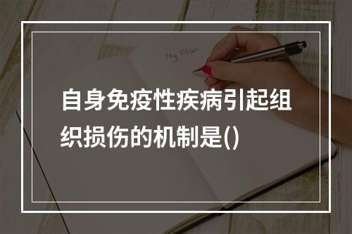 自身免疫性疾病引起组织损伤的机制是()