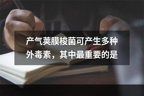 产气荚膜梭菌可产生多种外毒素，其中最重要的是