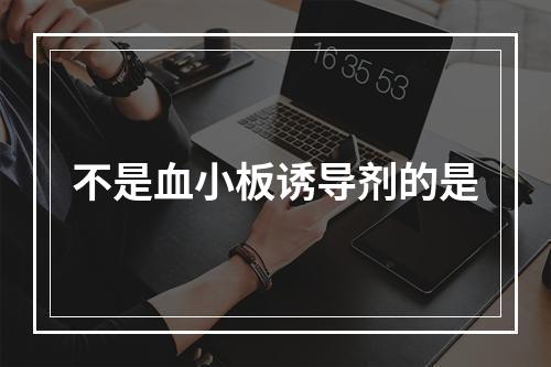 不是血小板诱导剂的是