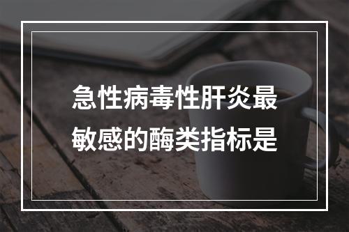 急性病毒性肝炎最敏感的酶类指标是