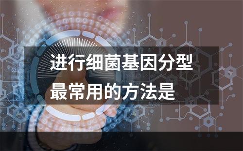 进行细菌基因分型最常用的方法是