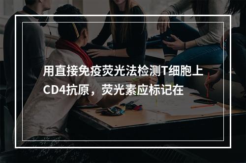 用直接免疫荧光法检测T细胞上CD4抗原，荧光素应标记在