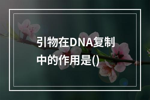 引物在DNA复制中的作用是()