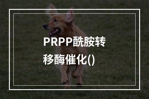 PRPP酰胺转移酶催化()