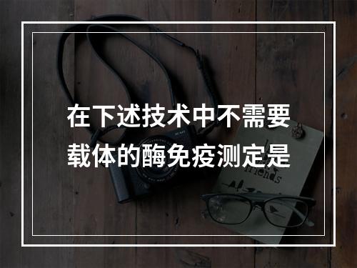 在下述技术中不需要载体的酶免疫测定是