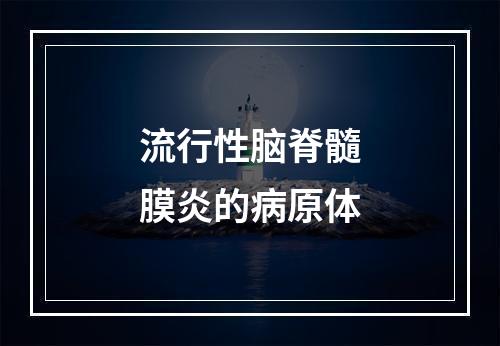 流行性脑脊髓膜炎的病原体