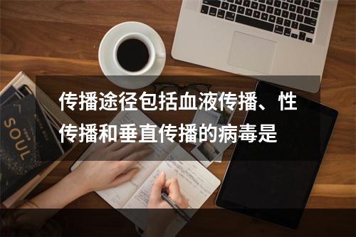 传播途径包括血液传播、性传播和垂直传播的病毒是