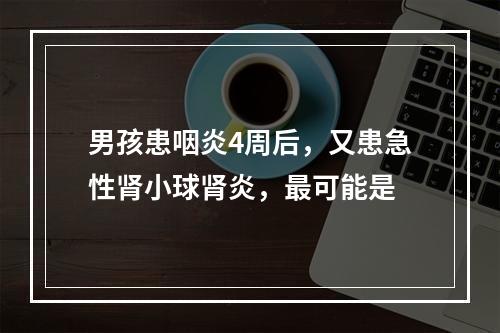 男孩患咽炎4周后，又患急性肾小球肾炎，最可能是