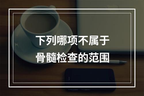 下列哪项不属于骨髓检查的范围