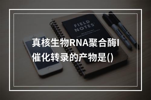 真核生物RNA聚合酶I催化转录的产物是()