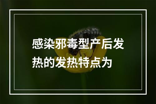 感染邪毒型产后发热的发热特点为