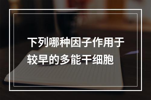 下列哪种因子作用于较早的多能干细胞