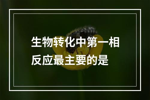 生物转化中第一相反应最主要的是