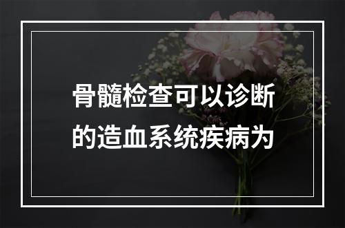 骨髓检查可以诊断的造血系统疾病为