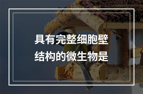 具有完整细胞壁结构的微生物是