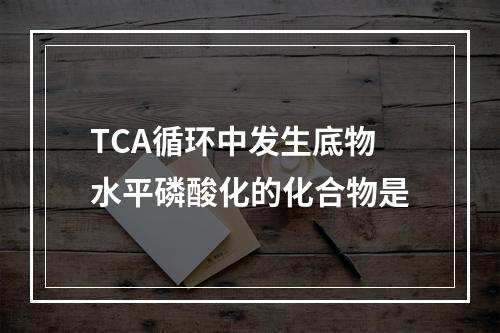 TCA循环中发生底物水平磷酸化的化合物是