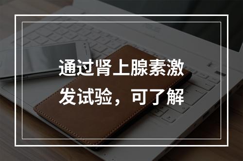 通过肾上腺素激发试验，可了解