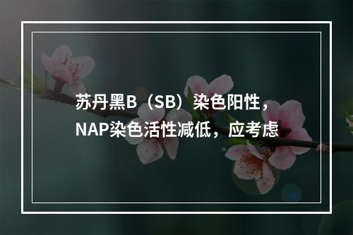 苏丹黑B（SB）染色阳性，NAP染色活性减低，应考虑