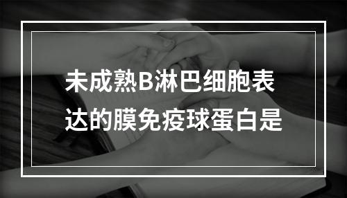 未成熟B淋巴细胞表达的膜免疫球蛋白是