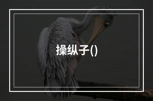 操纵子()