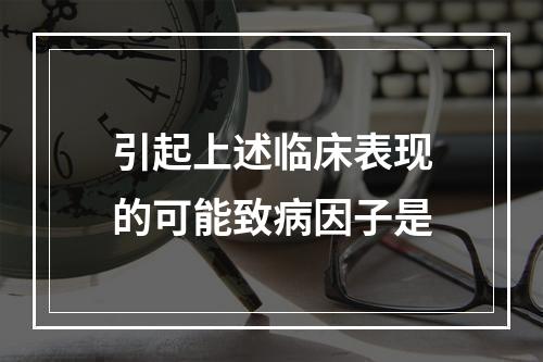 引起上述临床表现的可能致病因子是